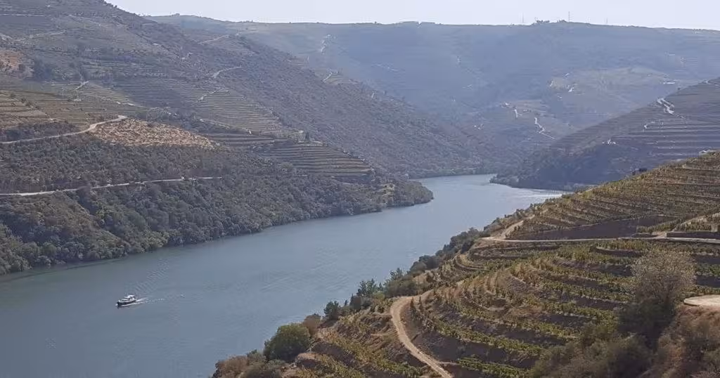 Douro River cruise boat passing terraced vineyards, highlight of Douro Valley tour with wine tasting and lunch