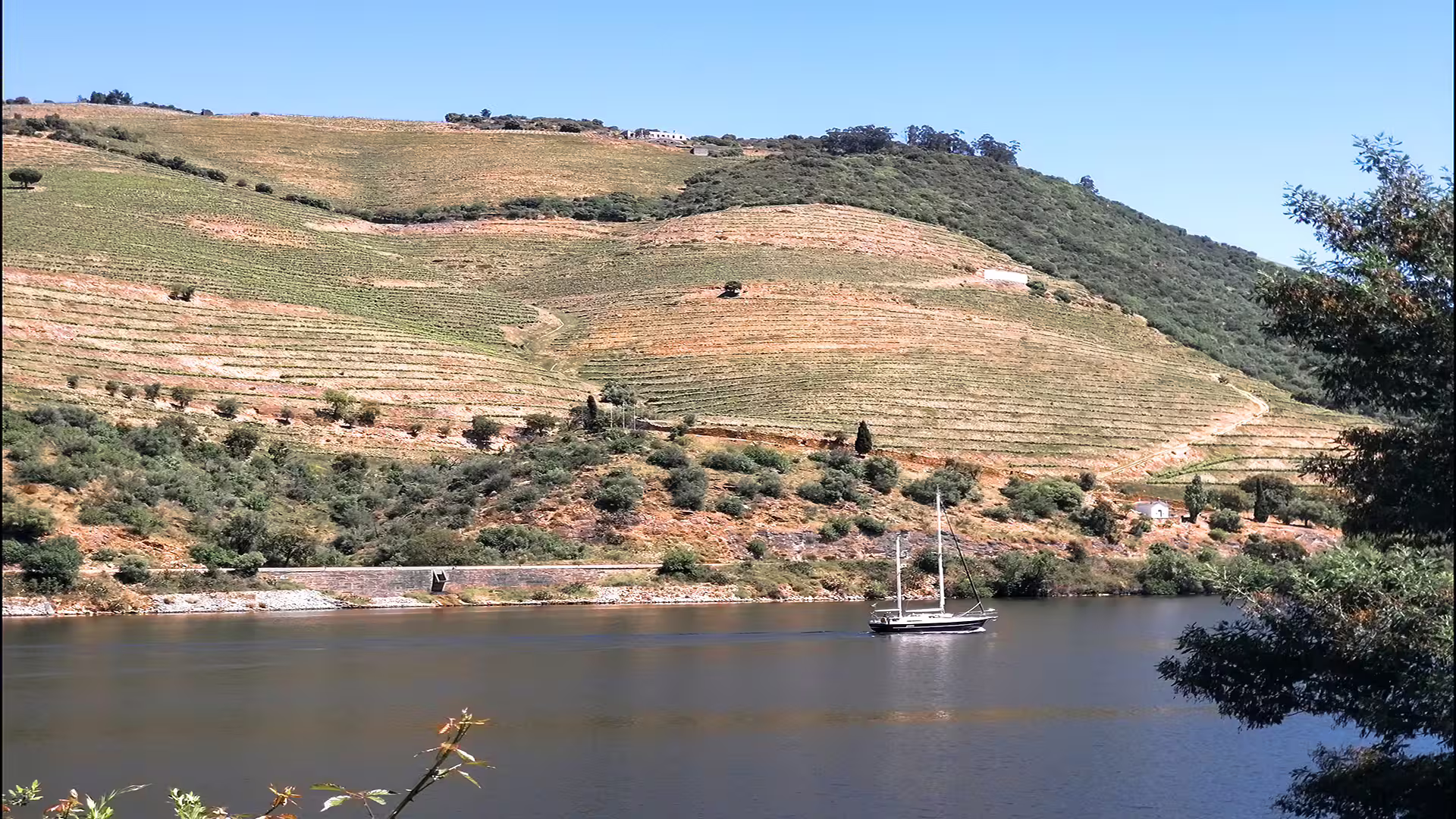 Sailboat on the Douro River with terraced vineyards and rolling hills in the background, ideal for Foz Côa and Douro tours.
