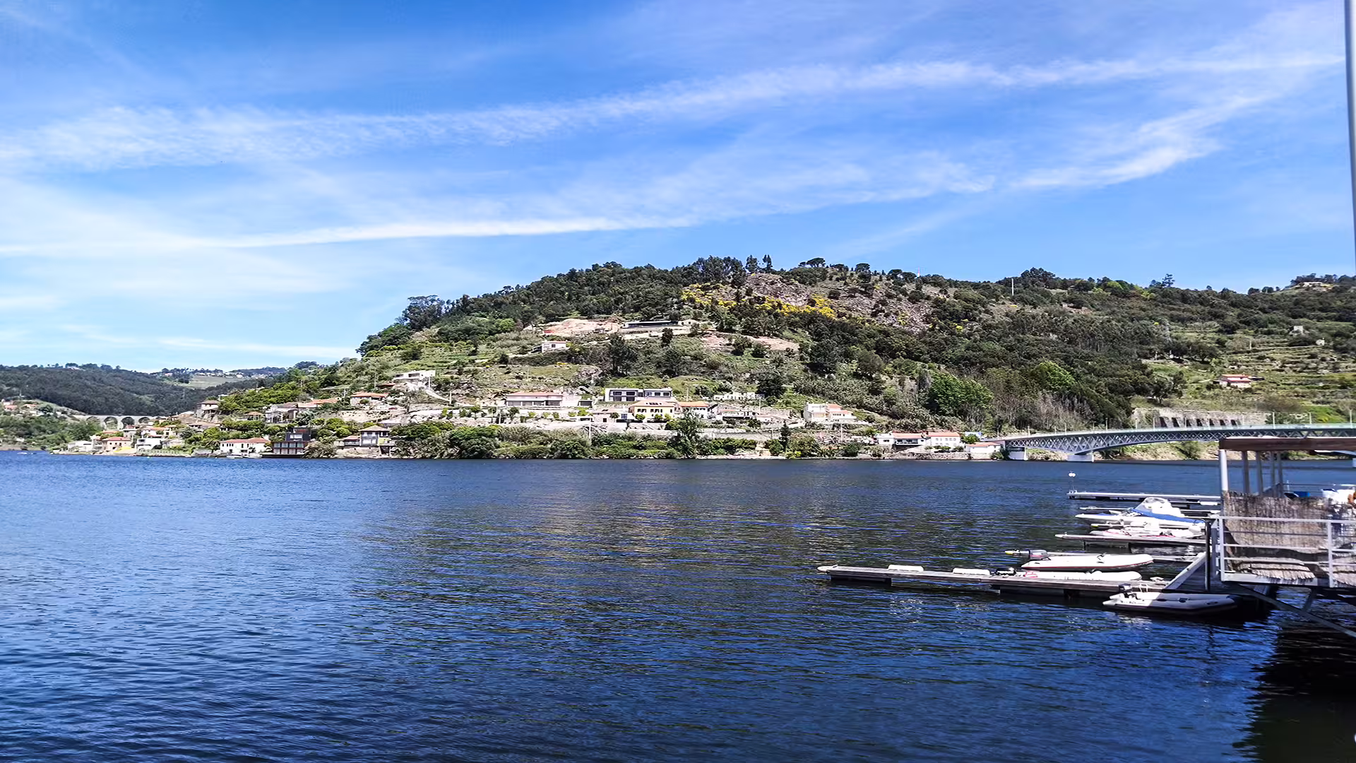 Scenic view of Douro River with lush hills, charming village, and boats, highlighting the beauty of Foz Côa private tour.