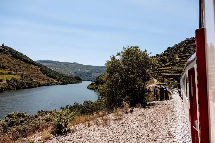 View from a train alongside the Douro River with terraced vineyards, highlighting a picturesque train journey.
