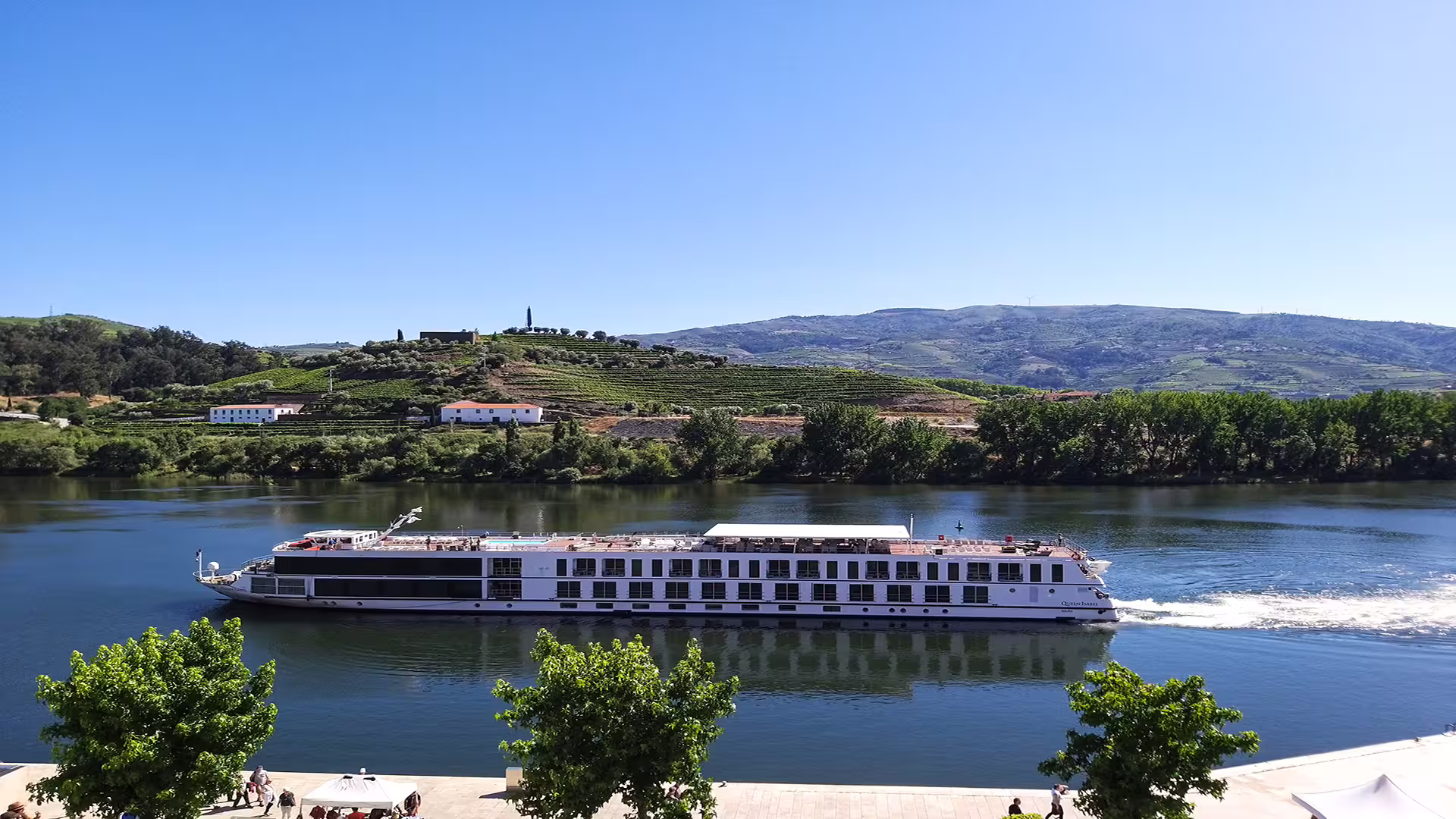 Scenic Douro River cruise with lush vineyards and hills, ideal for exploring Foz Côa rock carvings and enjoying fine wines.