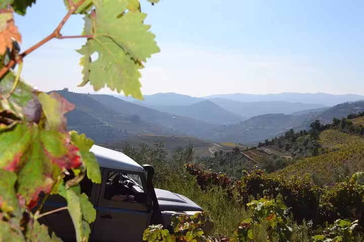 Scenic view of Douro Valley with a 4x4 vehicle amidst lush vineyards and rolling hills on a private tour.