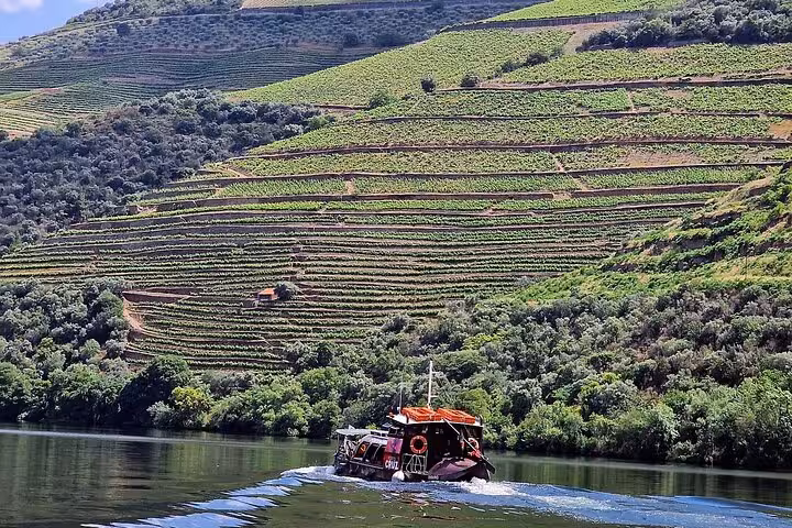 Traditional boat cruising Douro River past terraced vineyards on private Douro Valley tour with tastings and wineries