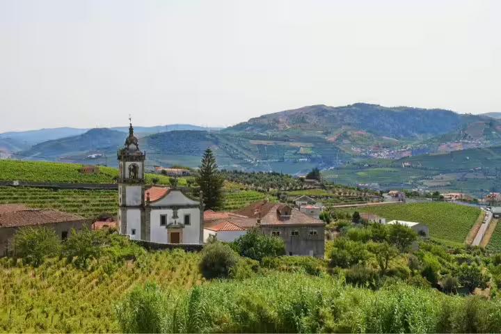 Scenic view of a historic church amidst lush vineyards in the picturesque Douro Valley, perfect for a self-drive tour in Northern Portugal.
