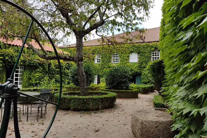 Charming courtyard with lush greenery and historical architecture, a highlight on the Douro Valley tour.