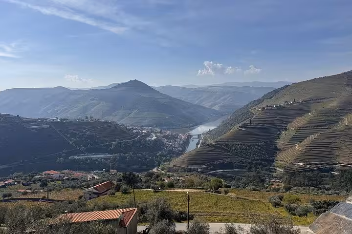 Panoramic Douro Valley terraced vineyards and river view on private luxury wine tour with 5-star lunch