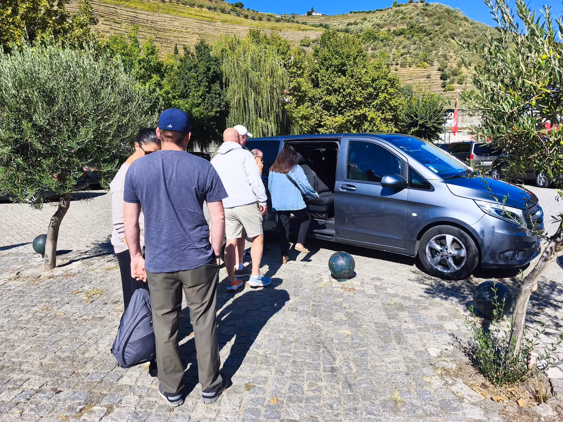 Small group boards a minivan for a Douro Valley panoramic tour, surrounded by olive trees and vineyards