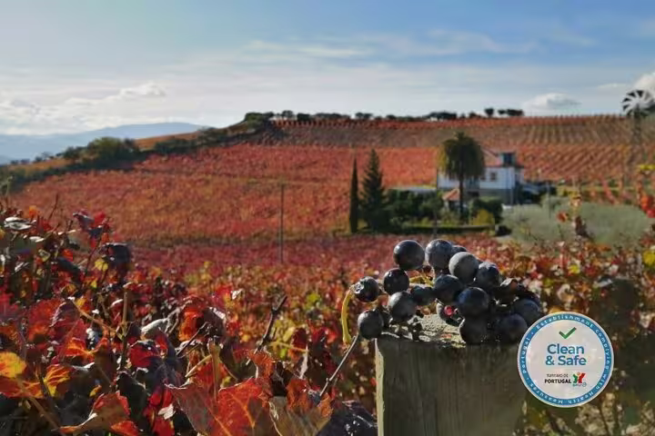 Lush grapevines and vibrant autumn foliage with a picturesque farmhouse in Douro Valley, ideal for private 4x4 tours.