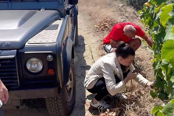 Adventurous travelers exploring vineyards in Douro Valley during a private 4x4 tour, experiencing the wine harvest.