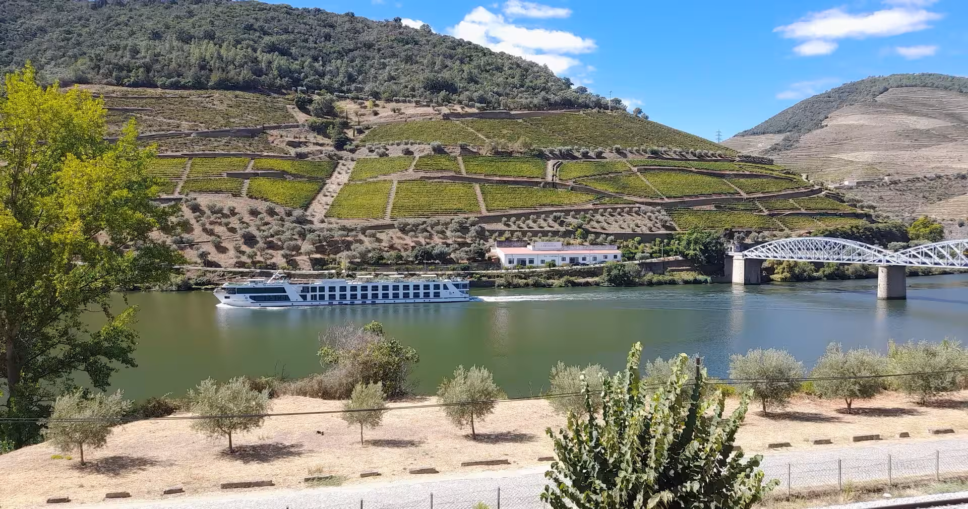 Douro Valley river cruise ship passing terraced vineyards near a steel bridge, on Lisbon to Porto 7-day tour