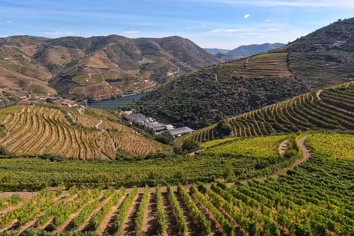 Scenic view of the terraced vineyards in Douro Valley, showcasing the stunning landscape and lush wine country.
