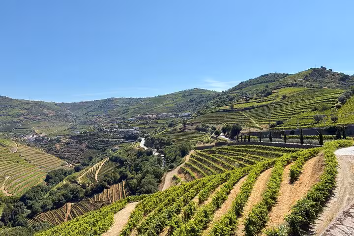 Terraced vineyards in Douro Valley on private wine tour from Porto, scenic landscape before winery lunch