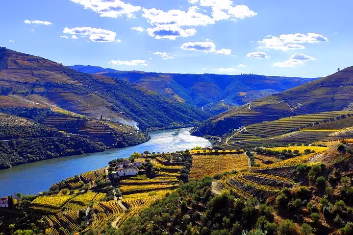 Douro Valley terraced vineyards above the river, scenic viewpoint on a Portugal wine trip tour