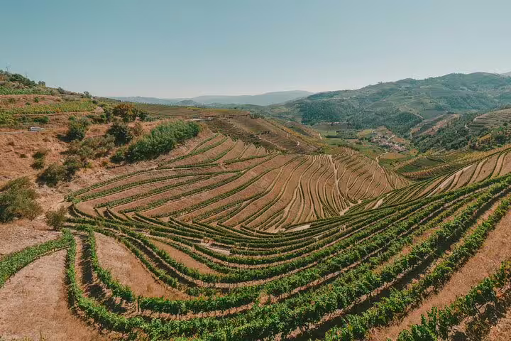 Expansive terraced vineyards of Douro Valley under clear skies, ideal for wine tours and scenic river cruises.