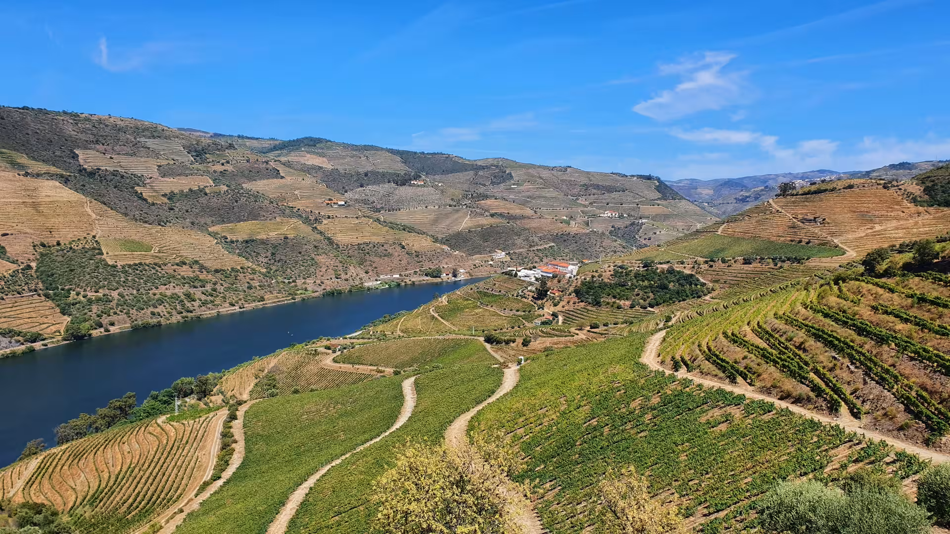 Terraced Douro Valley wine region overlooking the Douro River, part of Gaia tour with winery tasting and boat trip