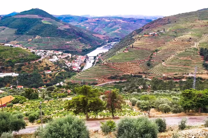 Scenic view of terraced vineyards in Douro Valley with a serene river and lush hills, perfect for wine and rock art tours.