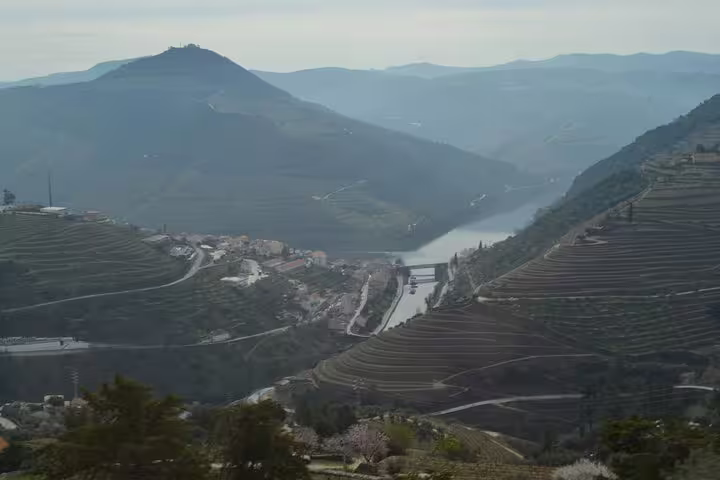 Panoramic vista of Douro Valley's terraced vineyards and winding river perfect for a wine tour adventure.