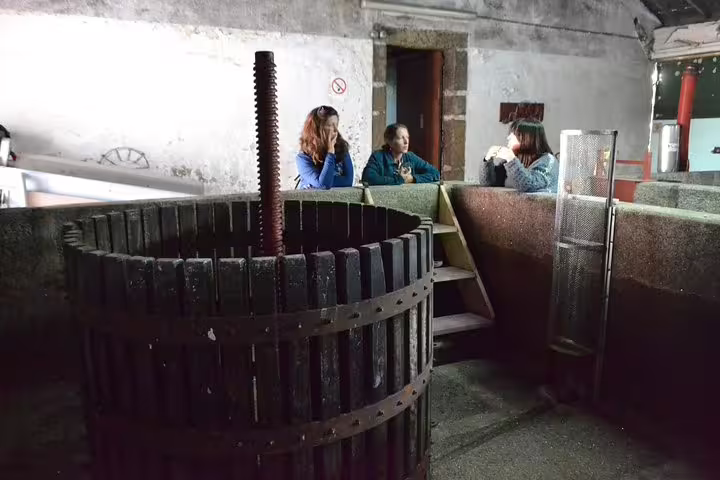 Visitors exploring traditional grape press during Douro Valley vineyard tour experience.