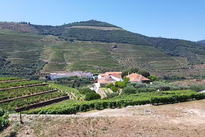 Picturesque Douro Valley vineyard landscape with terraced hills and a charming winery nestled among rolling greens.