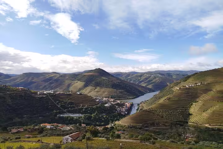 Panoramic Douro Valley view with terraced vineyards and river, scenic stop on private luxury wine tour