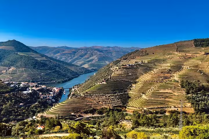 Terraced vineyards above the Douro River in Portugal, scenic view on private Douro Valley wine tour