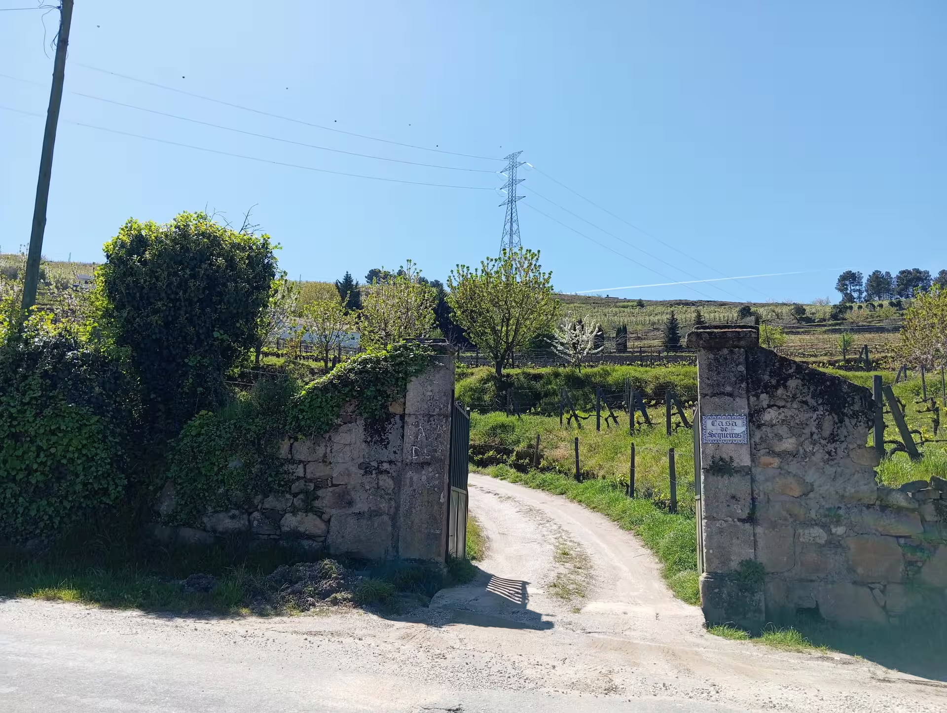 Rustic stone entrance to a vineyard in Douro Valley, surrounded by lush greenery and scenic hills.