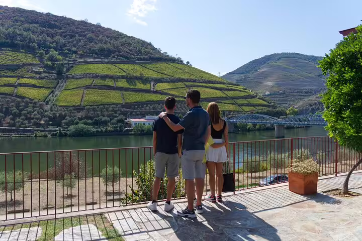 Group admiring scenic vineyard terraces and river views during their Douro Experience tour.