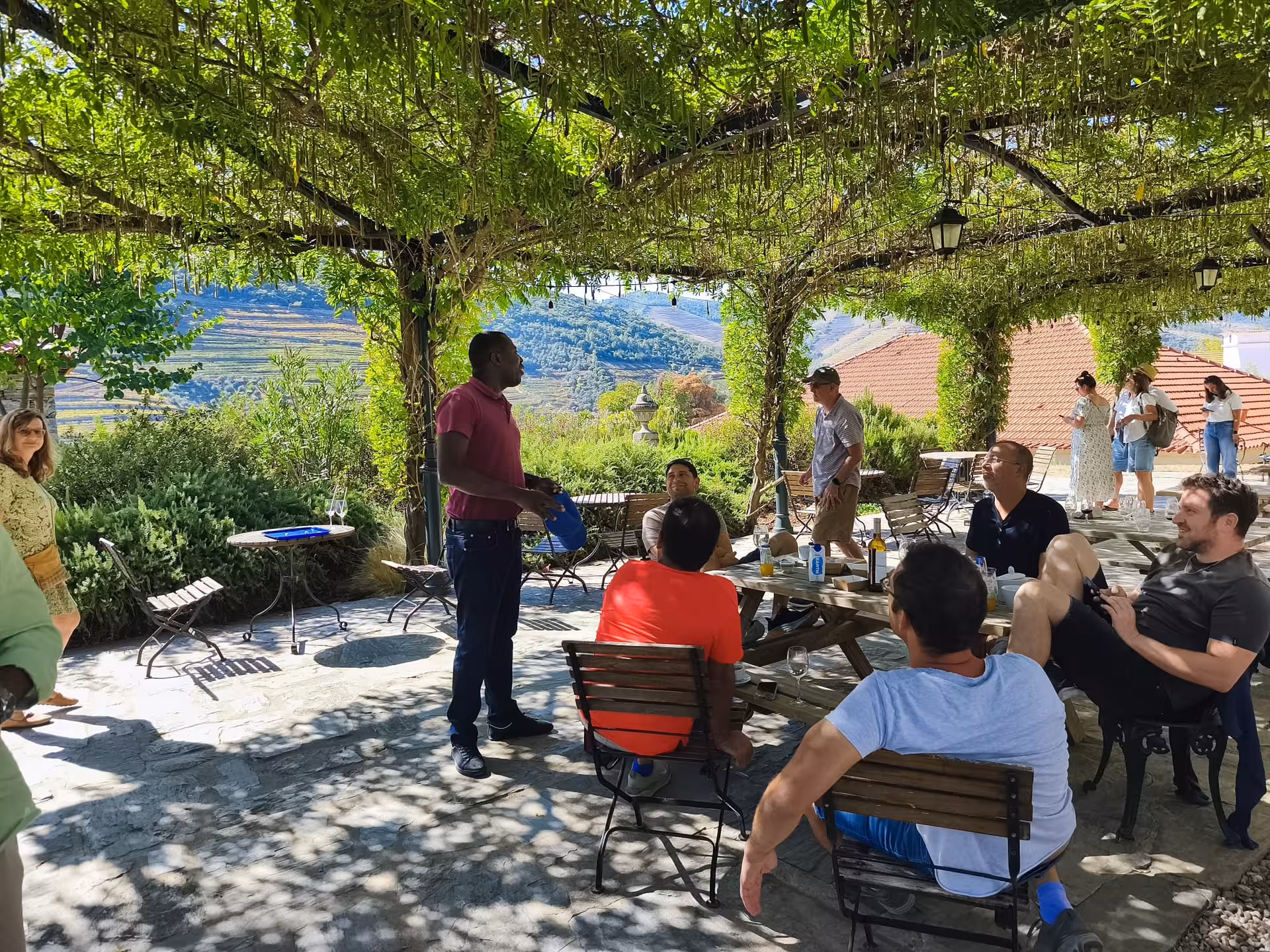 Vineyard terrace tasting on a Douro Valley panoramic tour under a leafy pergola with scenic valley views