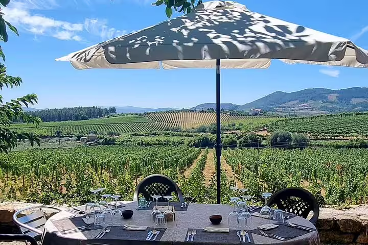 Dining setup under a sun umbrella overlooking Douro Valley vineyards during a guided tour with lunch.