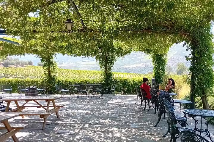 Visitors relaxing under a shaded pergola with panoramic views of Douro Valley vineyards on a guided tour.