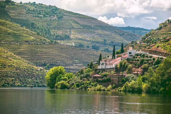 Scenic view of Douro Valley vineyards and river, perfect for wine tasting tours and relaxing boat rides.