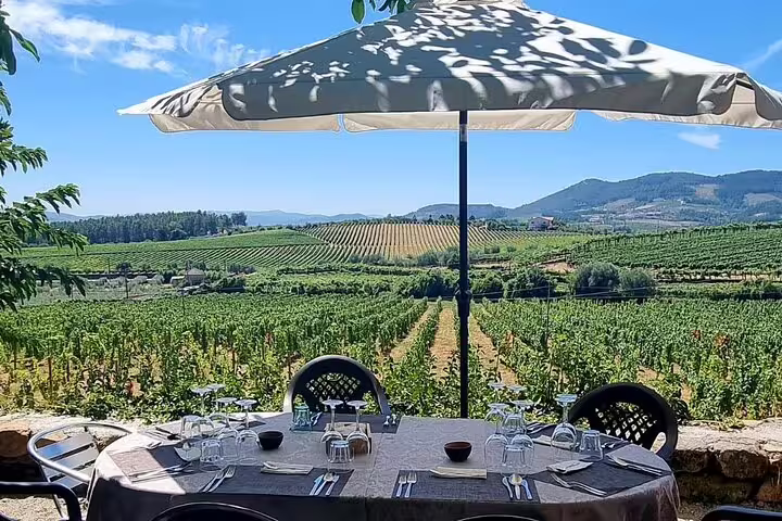 Outdoor dining setup overlooking lush Douro Valley vineyards on a sunny day, ideal for wine tasting lunch.