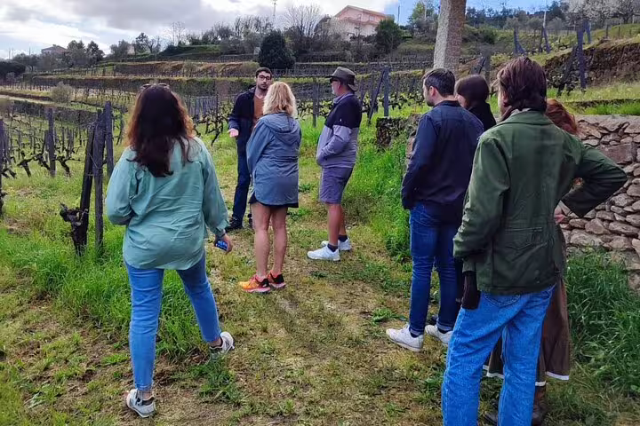 Group of tourists listening to a guide in a lush Douro Valley vineyard during a wine tasting tour.