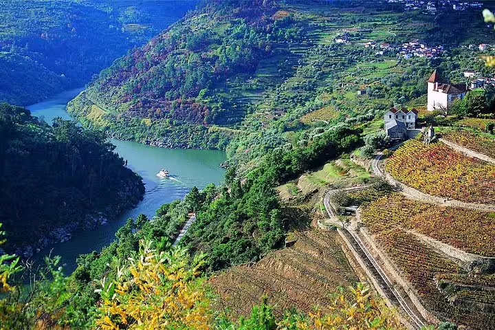 Aerial view of Douro Valley vineyards and river on private wine tour from Porto.