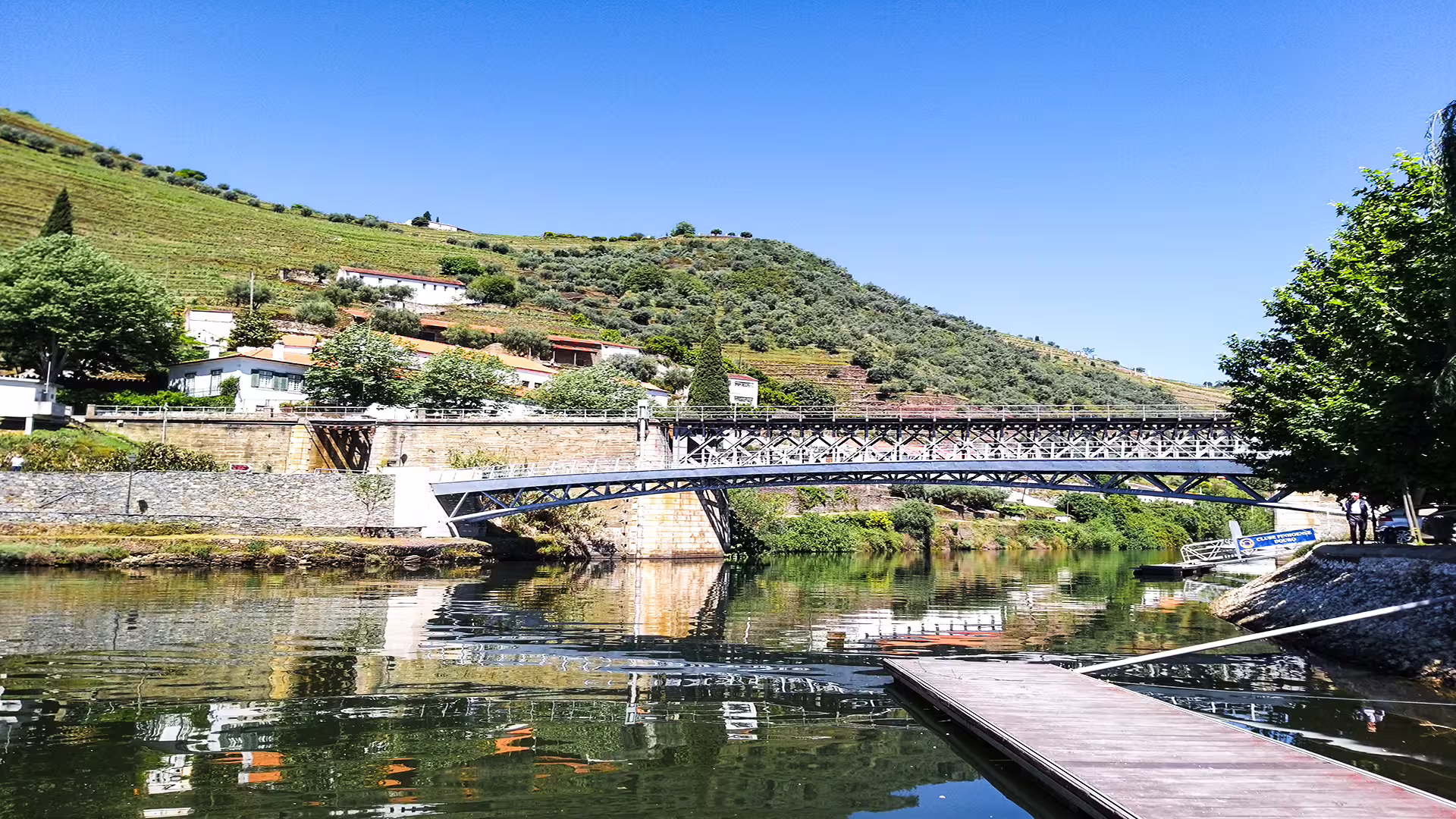Scenic view of Douro Valley bridge and terraced vineyards, perfect for a Foz Côa private tour exploring rock carvings and wines.
