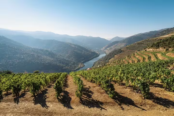 Scenic view of Douro Valley vineyards and river, highlighting the landscape of a guided vineyard tour.