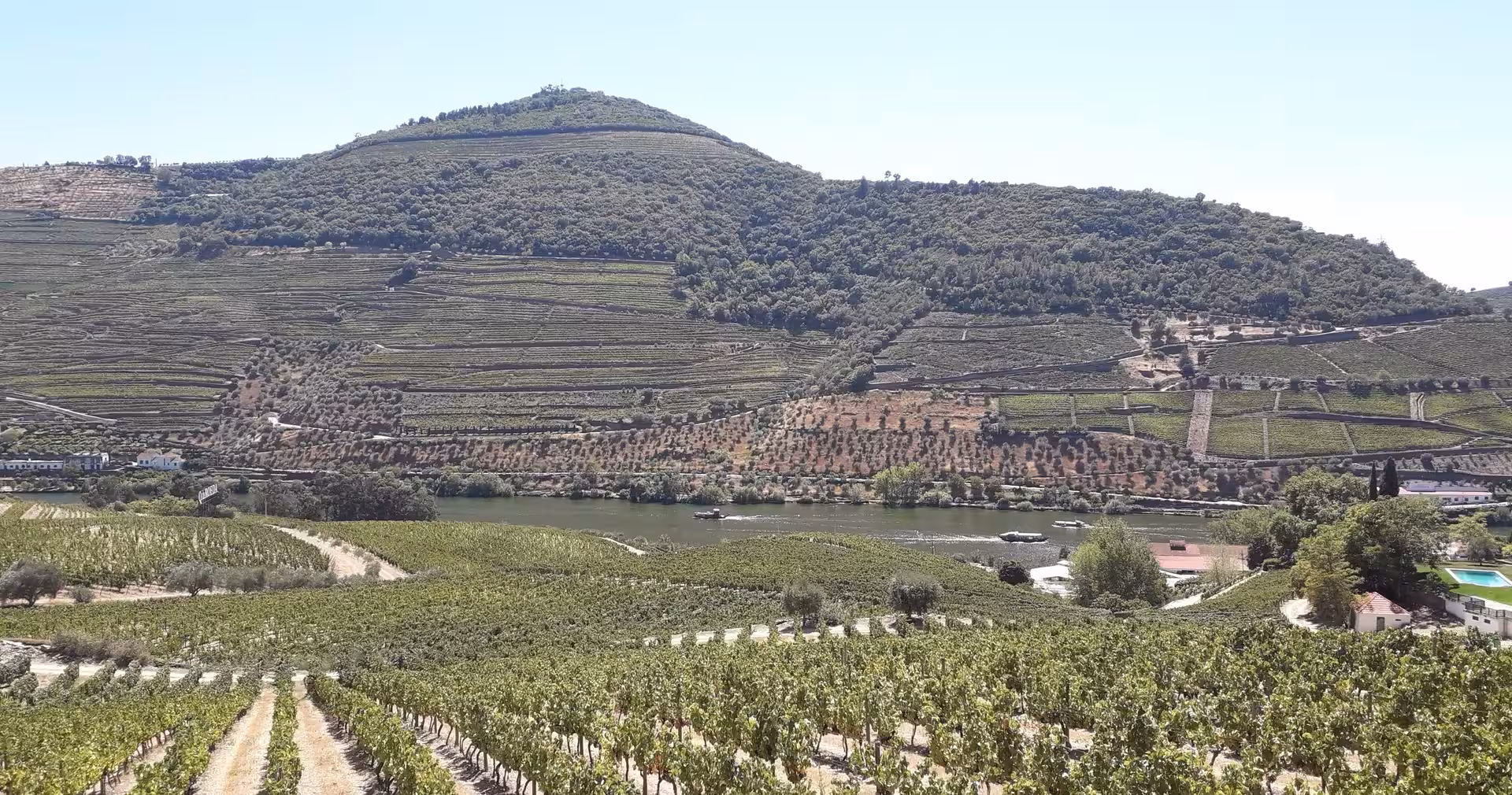 Terraced Douro Valley vineyards above the Douro River, scenic viewpoint on small-group hike from Braga