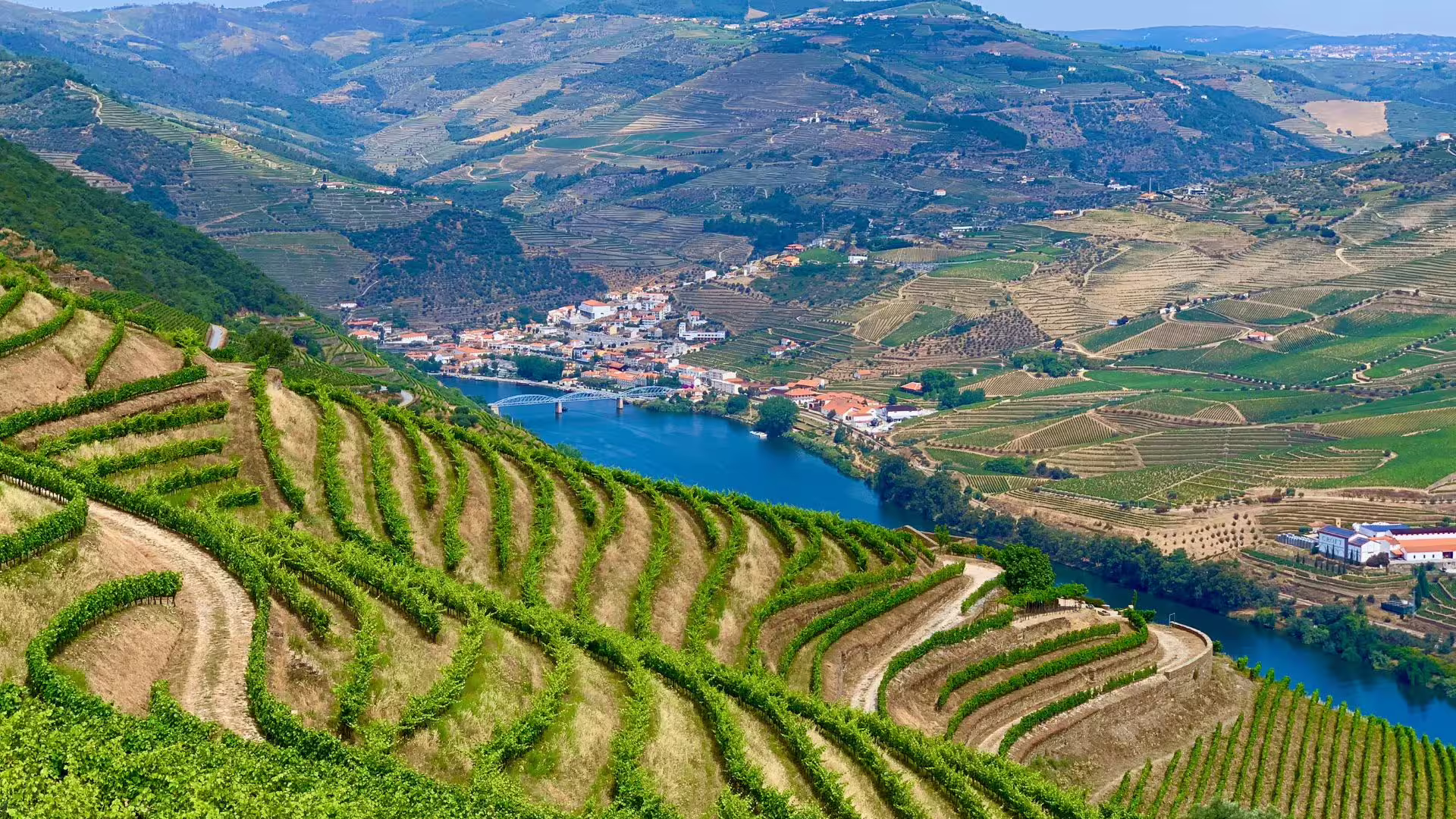 Image of vineyards and terraces near the village of Pinhão on Cooltour Oporto's Douro Valley Wine Tour from Porto