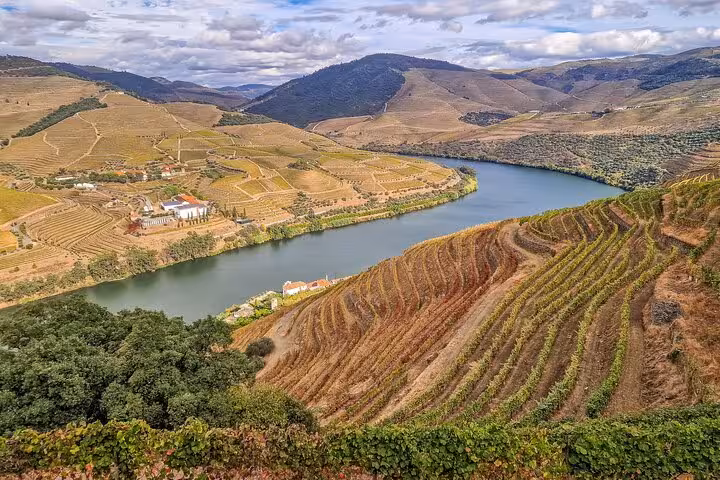 Douro Valley terraced vineyards and river view on private Porto to Lisbon tour with wine boat brunch