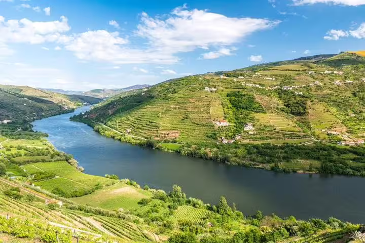 Breathtaking landscape of the Douro Valley vineyards with the river winding through lush green hills under a clear blue sky.