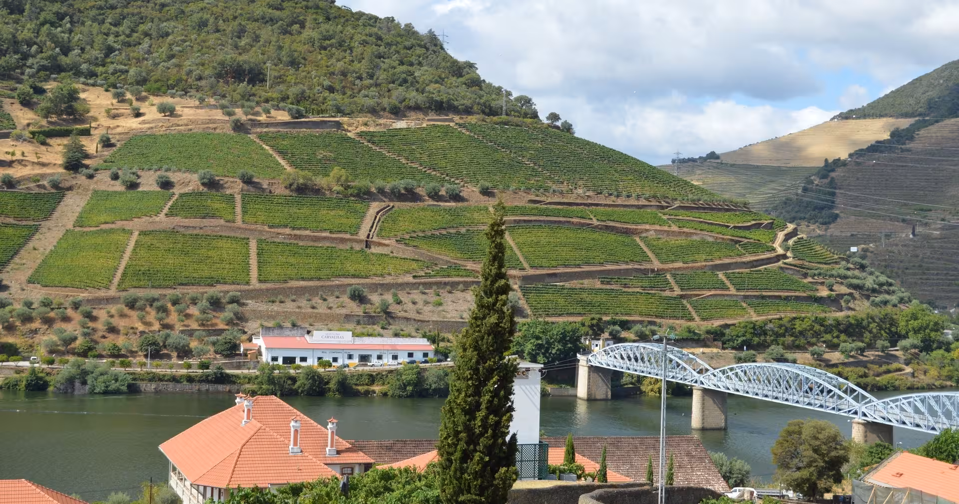 Terraced Douro Valley vineyards and river bridge panorama, scenic stop on Braga to Douro wine tour with lunch