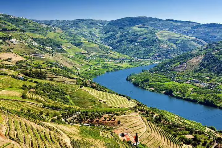 Scenic view of Douro Valley vineyards and river, showcasing lush landscapes ideal for a Porto wine tour and river cruise.