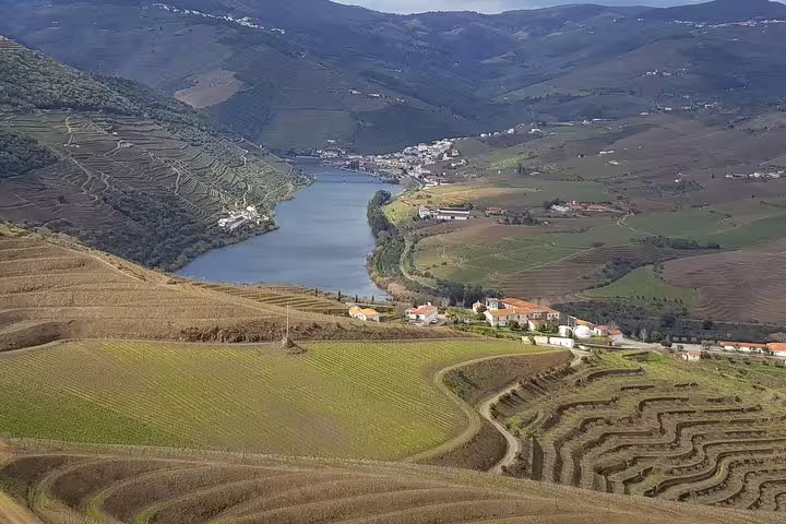 Scenic view of Douro Valley's terraced vineyards and winding river, perfect for a picturesque winery river cruise.