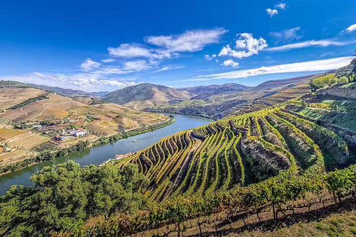 Scenic view of Douro Valley vineyards and river on a sunny day, perfect for a private tour from Lisbon showcasing Portugal's wine heritage.