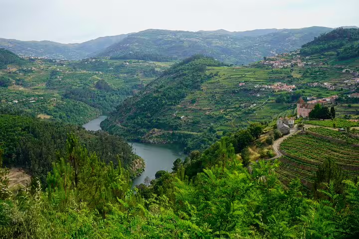 Scenic view of Douro Valley's lush vineyards and winding river on a private tour from Lisbon, showcasing Portugal's wine region.