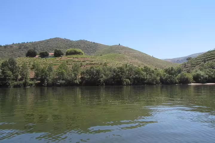 Scenic view of lush vineyards and hills along the Douro River under a clear blue sky.