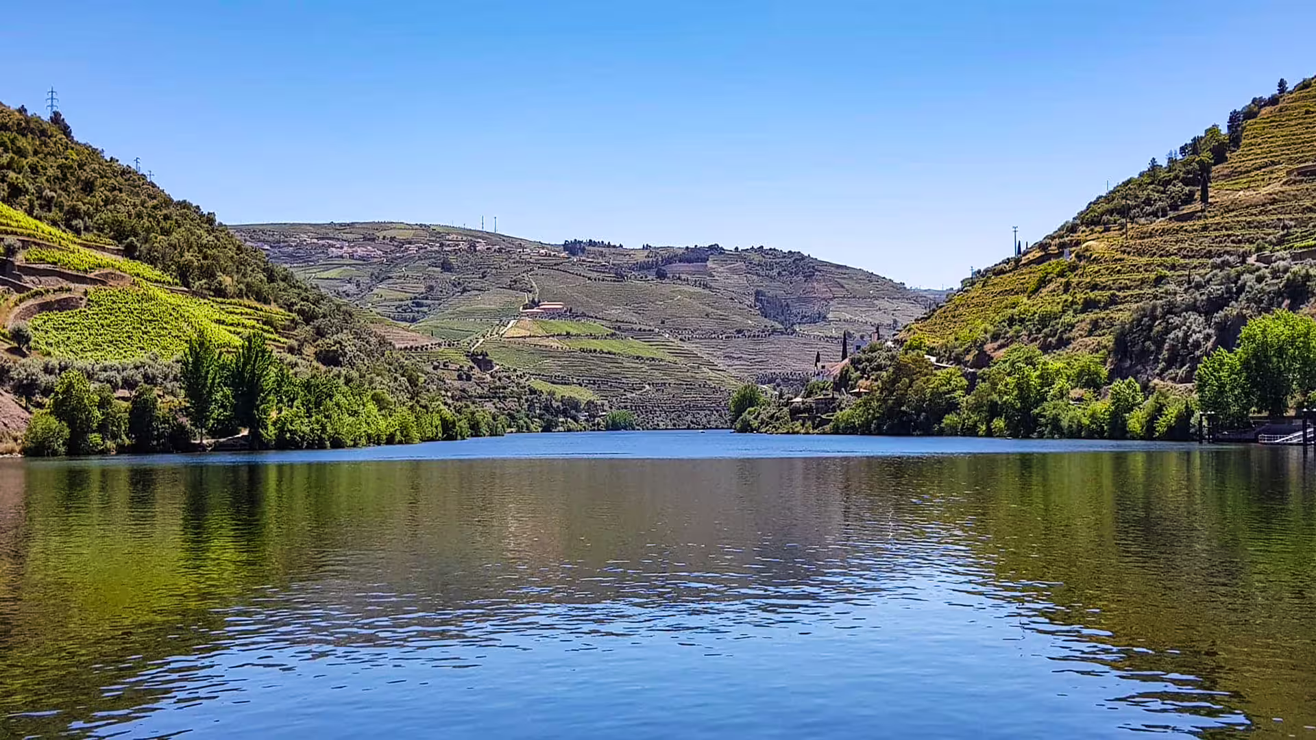 Scenic view of Douro Valley with lush vineyards lining the river, ideal for Foz Côa rock carvings and wine tasting tour.