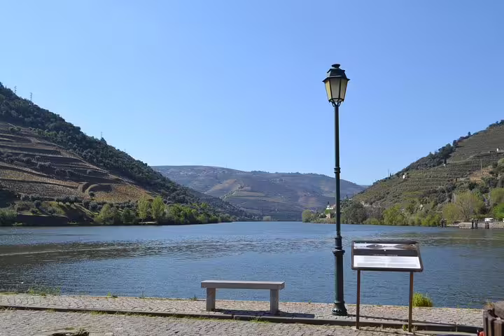 Scenic Douro River view with rolling vineyards, perfect for a relaxing moment during a Porto vineyard tour.