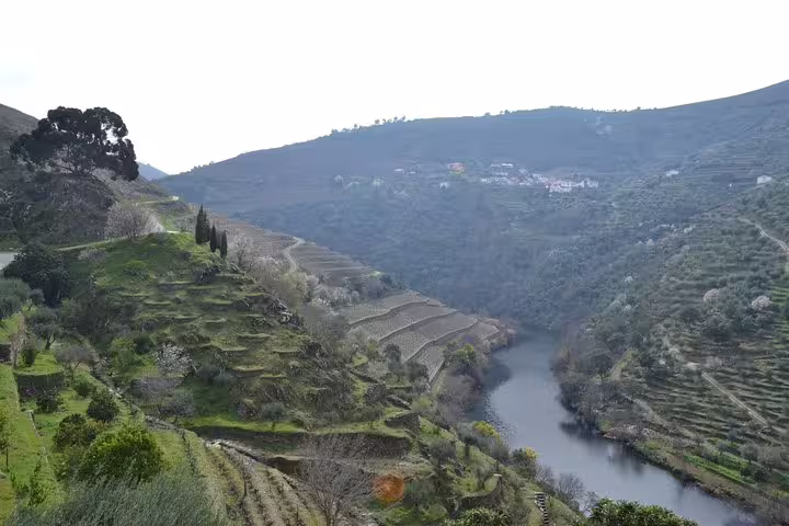 Scenic view of Douro Valley vineyards with terraced hills and river, ideal for wine tour exploration.