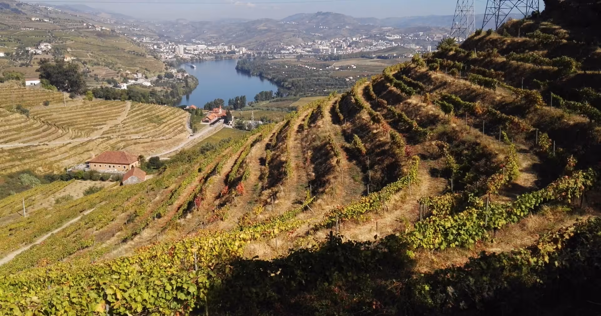 Terraced Douro Valley vineyards above the Douro River, scenic stop on Braga small-group wine tour